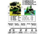Prophecy of the length of persecutions by four empires, hidden in the numerical values of Hebrew words for the four types of locust named in Joel 1.4